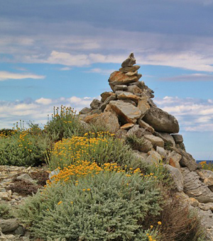 ddos压力测试网页端